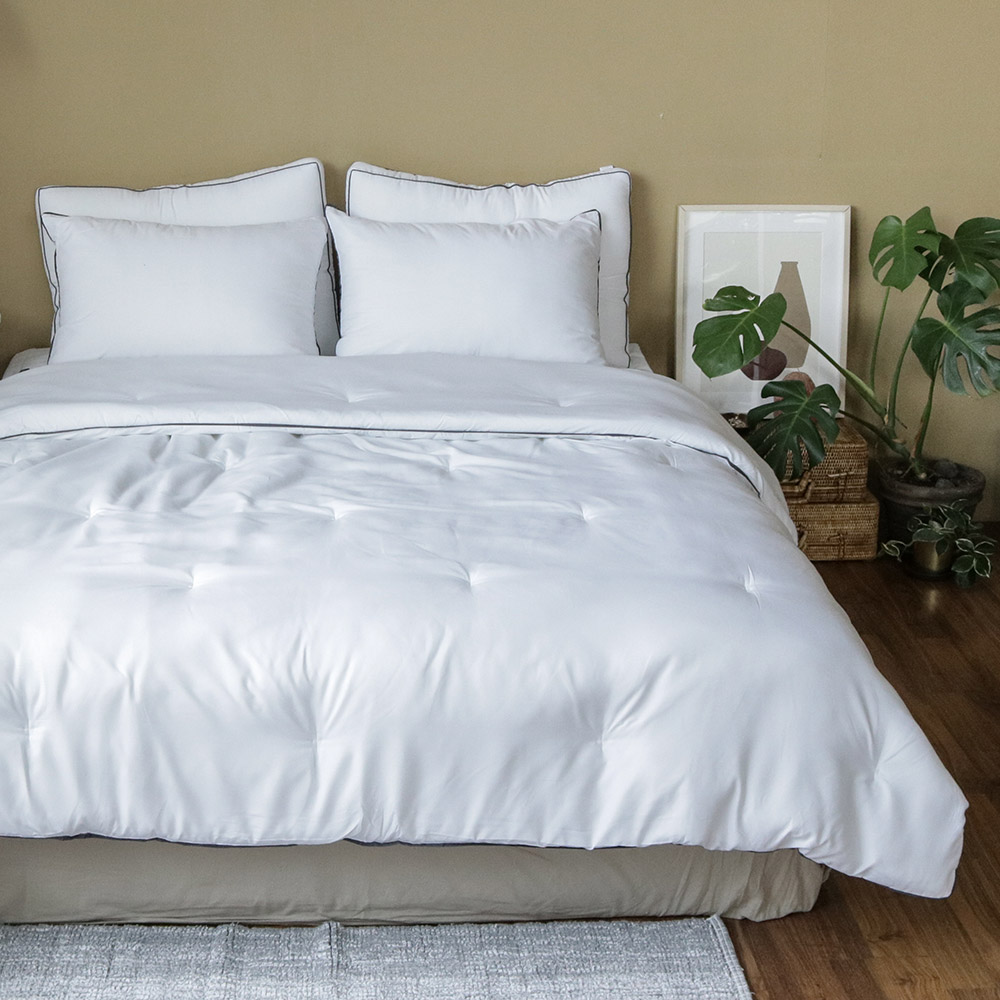 �������� ���� ħ����Ʈ Q (3 color)