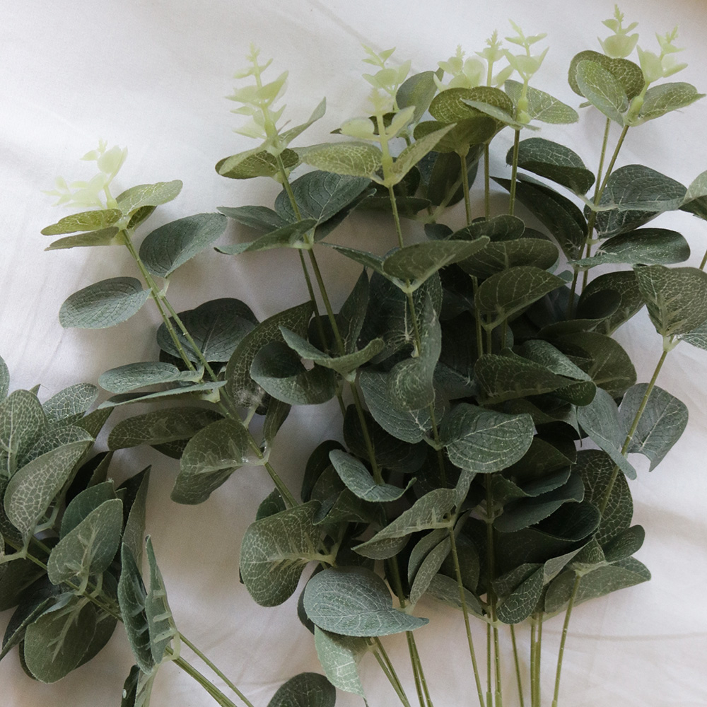 �ֽ� ��ī�� �ν�(��ȭ)