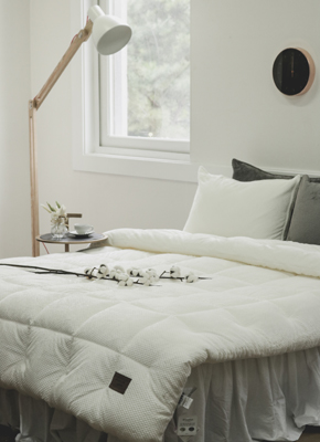 ��� �ؼ��� �̺� - ���̺���