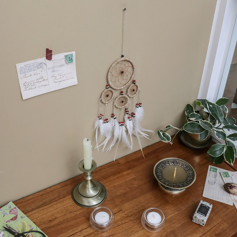 ���� ���� �帲ĳ�� (��)